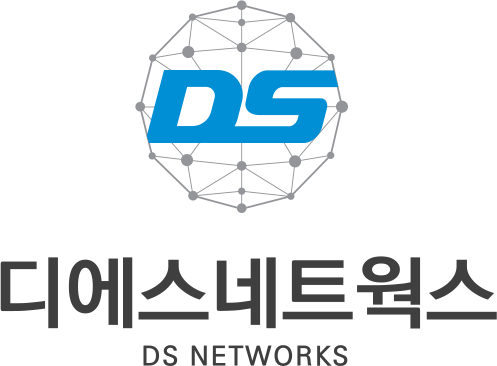 디에스네트웍스